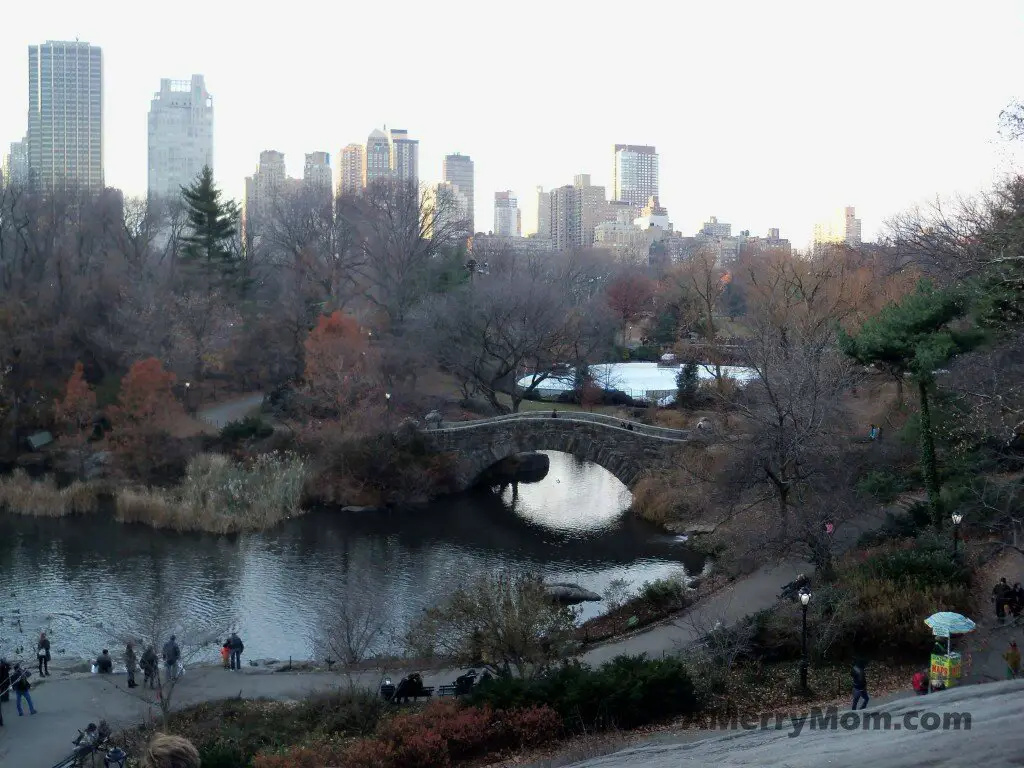 Central Park, New York City - December 1, 1013