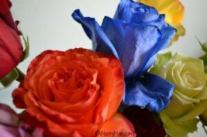 Rainbow bouquet - AMerryMom.com