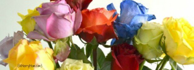 Rainbow roses - AMerryMom.com