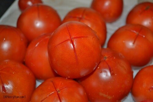 Tomatoes for homemade tomato sauce - AMerryMom.com