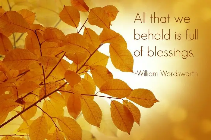 All that we behold is full of blessings. ~William Wordsworth