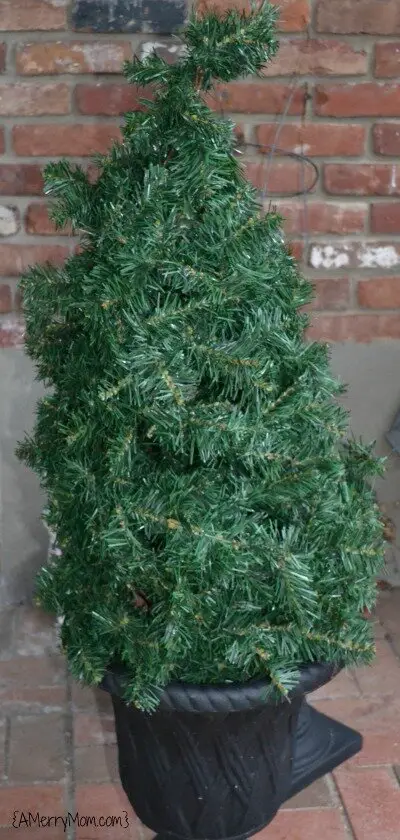 Christmas tree undecorated