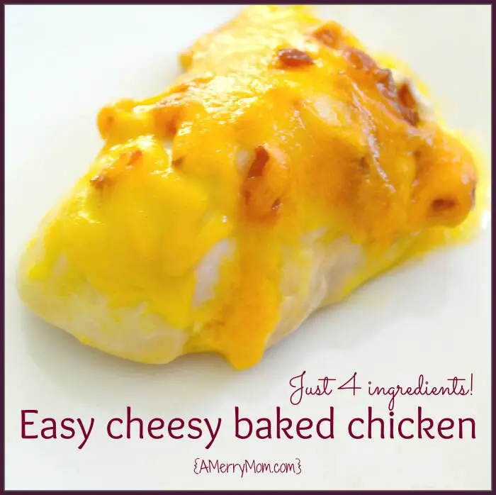 Easy cheesy baked chicken recipe | AMerryMom.com